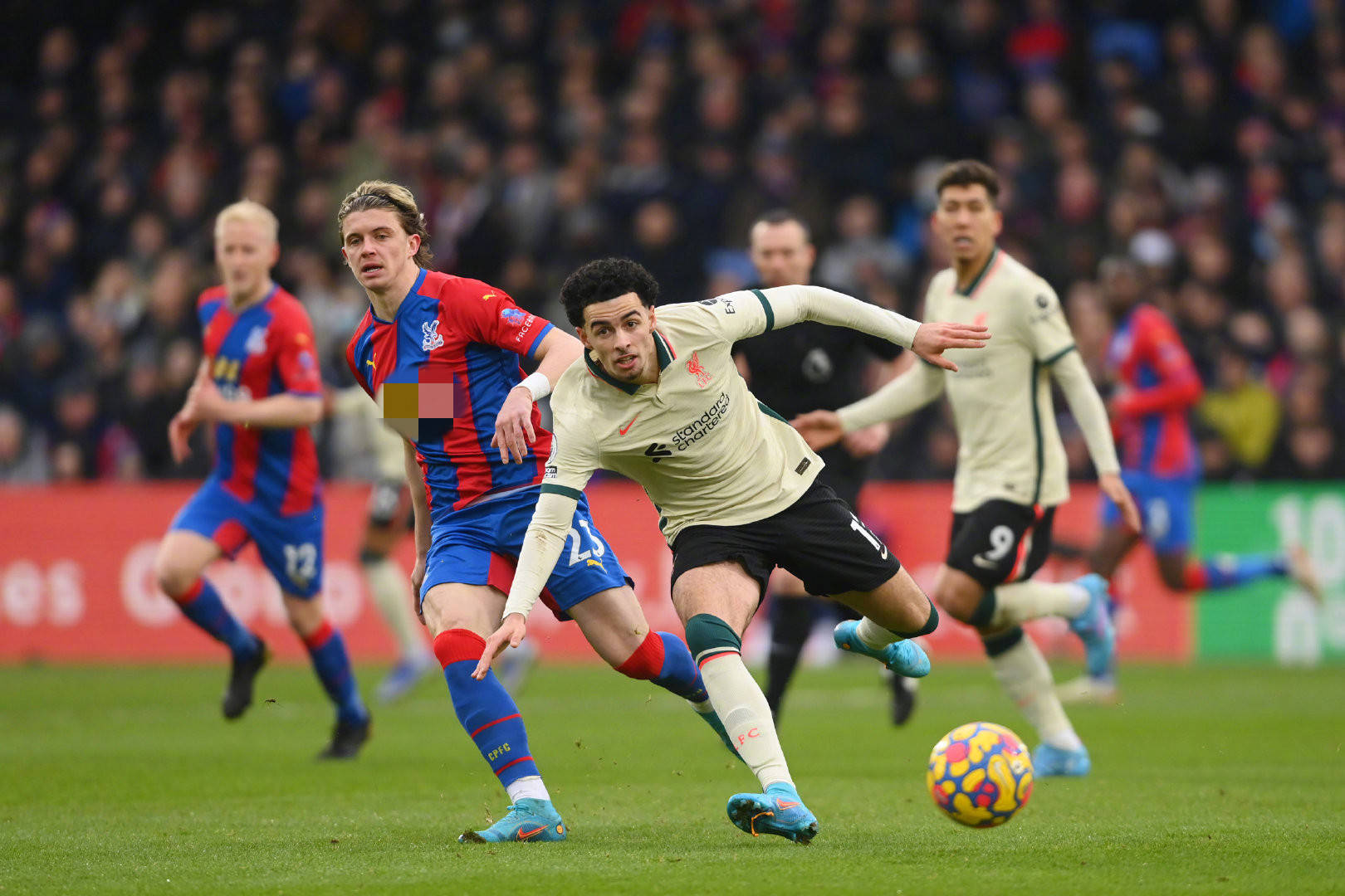 选择了一些 选择了一些