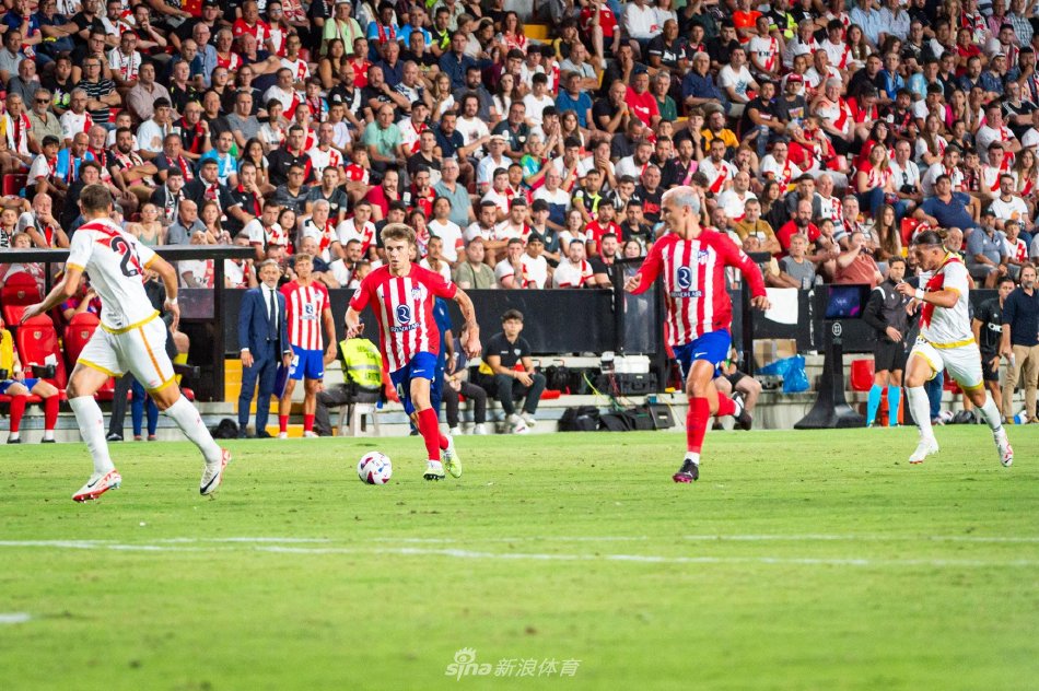 报价以及大 报价以及大