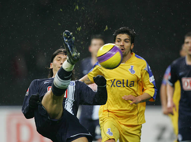 莎头组合 莎头组合