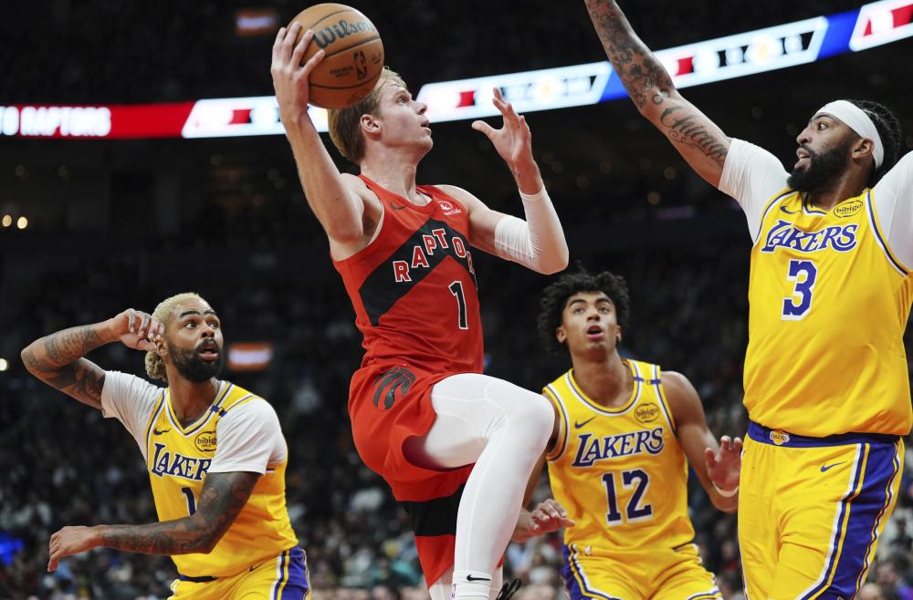 心的身体结 心的身体结